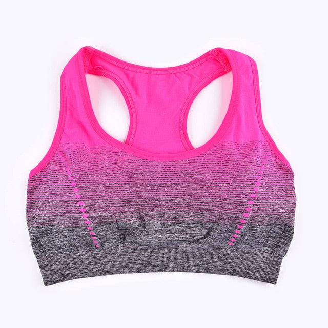 Sports Bra High Stretch Breathable Top Fitness